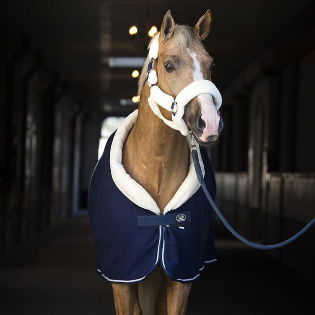 Chemise Séchante Allure HORSEGEAR Bleu foncé