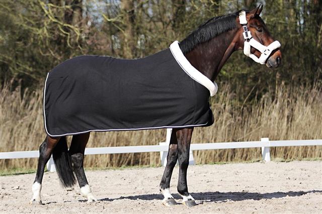 Chemise Séchante Allure HORSEGEAR Noir