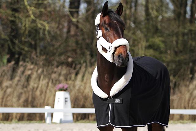 Chemise Séchante Allure HORSEGEAR Noir