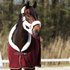 Chemise Séchante Allure HORSEGEAR Rouge foncé