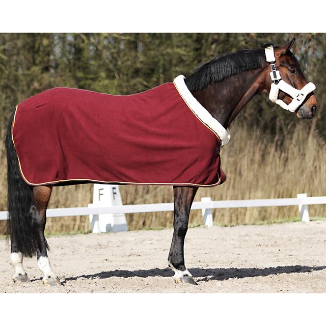 Chemise Séchante Allure Horsegear Rouge foncé