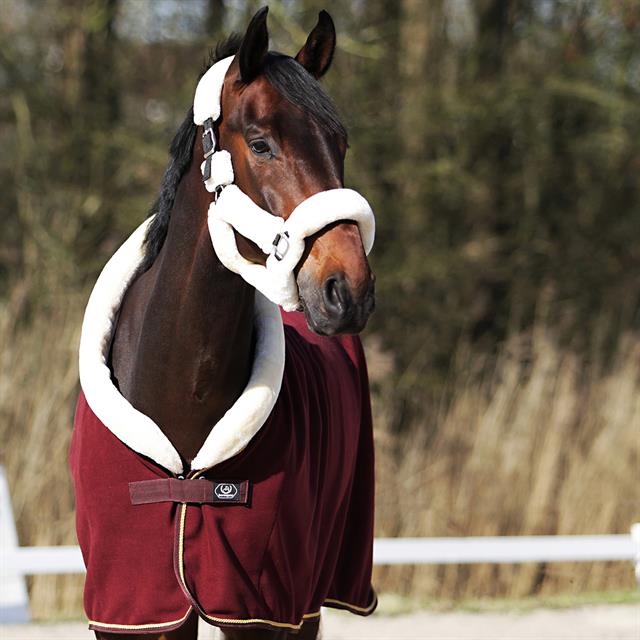 Chemise Séchante Allure HORSEGEAR Rouge foncé