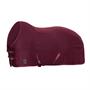 Chemise séchante Cooler Arika Clima-Tek LeMieux Rouge foncé