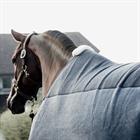 Chemise séchante Heavy Fleece Kentucky Gris