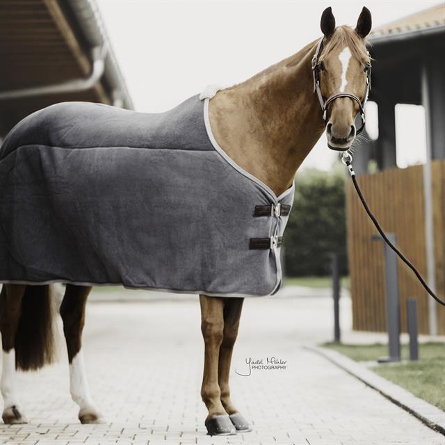 Chemise séchante Heavy Fleece Kentucky Gris