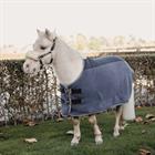 Chemise séchante Heavy Fleece Tiny Kentucky Gris
