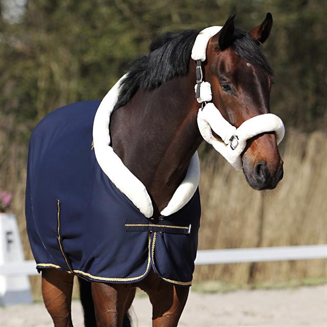 Chemise Séchante Lyx HORSEGEAR Bleu foncé