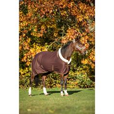 Chemise Séchante Lyx HORSEGEAR Marron foncé