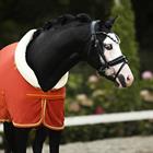 Chemise Séchante Lyx HORSEGEAR Orange