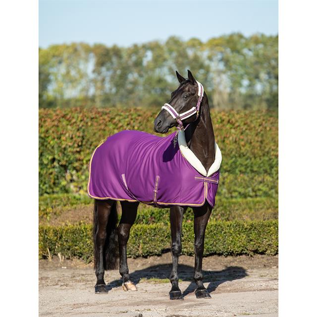 Chemise Séchante Lyx HORSEGEAR Violet