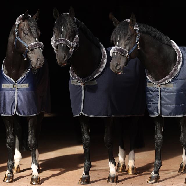 Chemise séchante Show-Line Competition Bucas Bleu foncé-gris