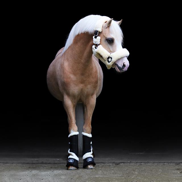 Cloches Lieve HORSEGEAR Noir