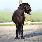 Cloches Lilou HORSEGEAR Mauve foncé