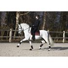 Cloches Luksus HORSEGEAR Marron
