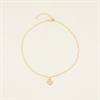 Collier Clover PaardenpraatTV Doré
