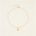 Collier Clover PaardenpraatTV Doré