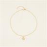 Collier Clover PaardenpraatTV Doré