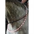 Collier d'Encolure Eclairage Led USG Blanc