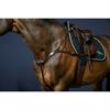 Collier de Chasse Anatomique Nec Dy'on Marron