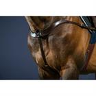 Collier de Chasse Anatomique Nec Dy'on Marron