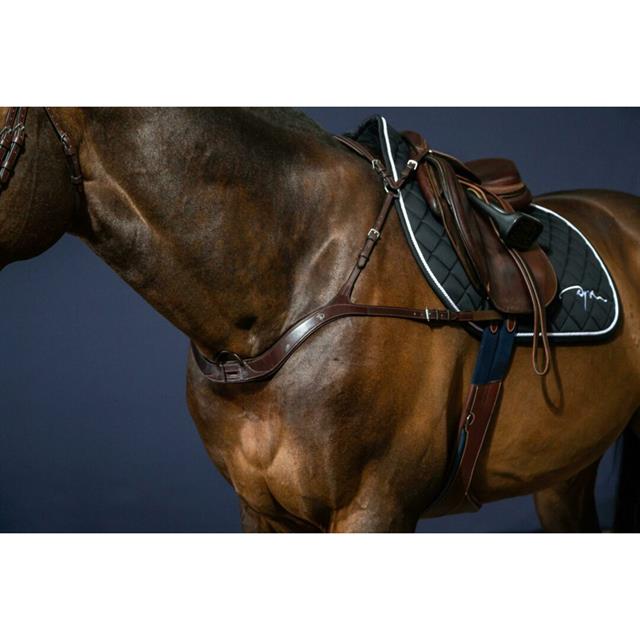 Collier de Chasse Anatomique Nec Dy'on Marron