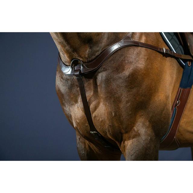 Collier de Chasse Anatomique Nec Dy'on Marron