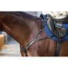 Collier de Chasse Anatomique Nec Dy'on Noir