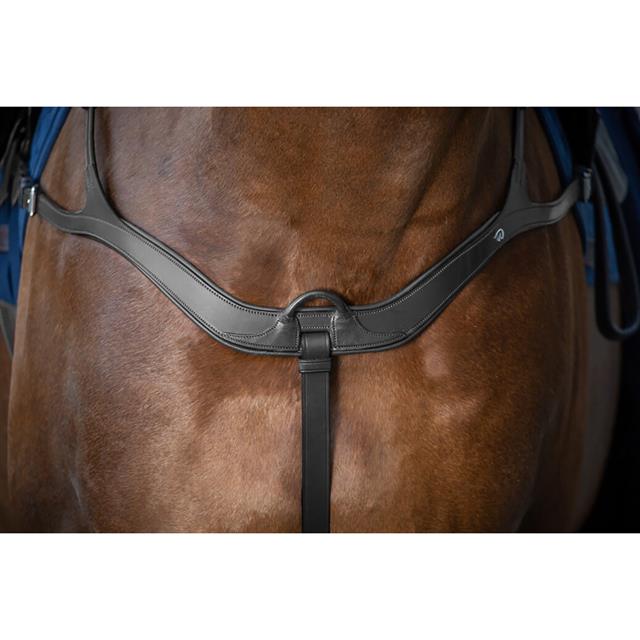 Collier de Chasse Anatomique Nec Dy'on Noir