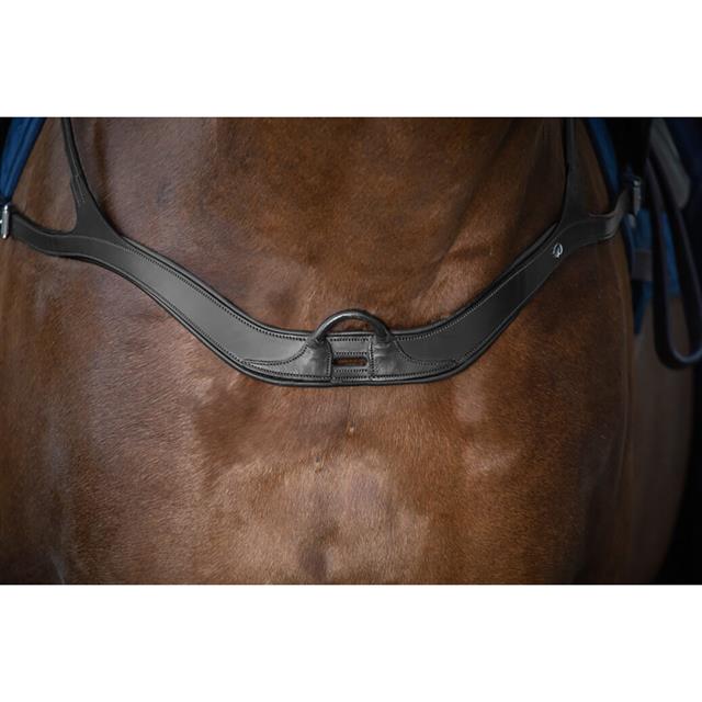Collier de Chasse Anatomique Nec Dy'on Noir