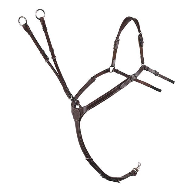 Collier de Chasse Avec Martingale Pappilon Montar Marron