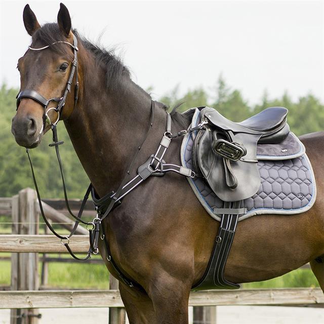 Collier de Chasse avec Martingale Sedna QHP Noir