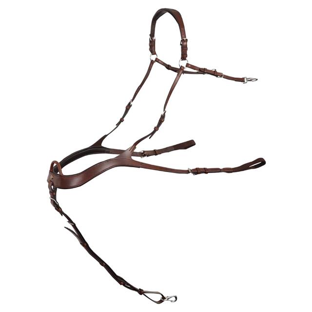 Collier de chasse Heywood BR Marron