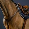 Collier de chasse long pont D Collection by Dy'on Marron