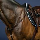 Collier de Chasse Nec Dy'on Marron