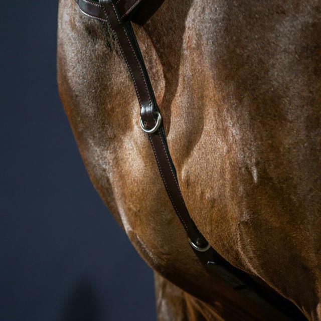 Collier de Chasse Nec Dy'on Marron