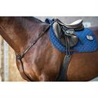 Collier de Chasse Nec Dy'on Noir