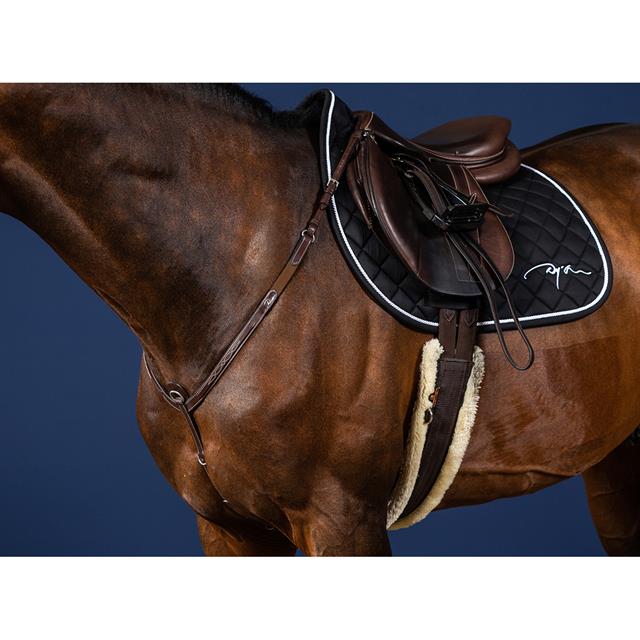 Collier de Chasse Usc Dy'on Marron