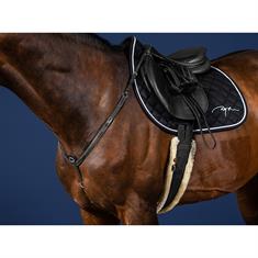 Collier de Chasse Usc Dy'on Noir