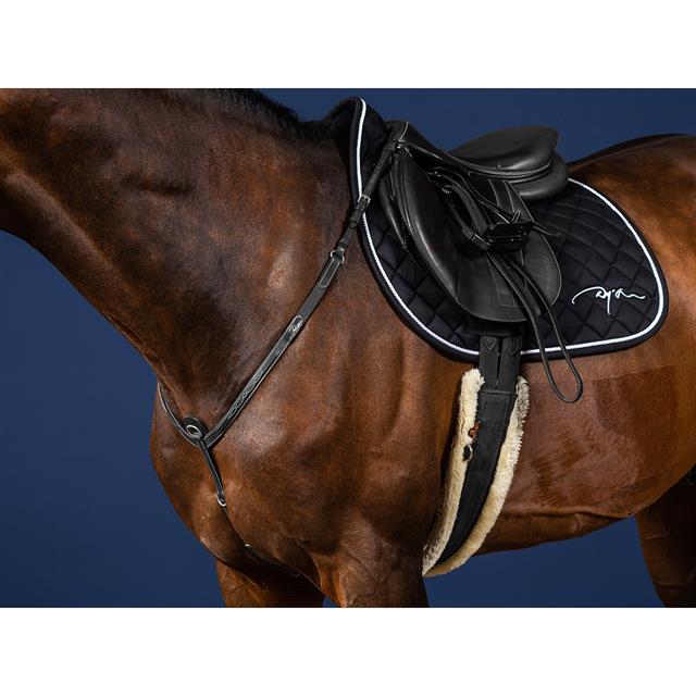 Collier de Chasse Usc Dy'on Noir
