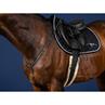 Collier de Chasse Usc Dy'on Noir