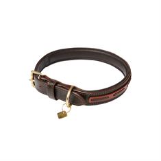 Collier pour chien Cambridge LeMieux Marron