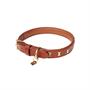 Collier pour chien Chelsea LeMieux Marron foncé