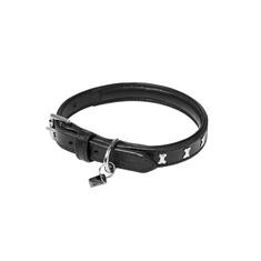 Collier pour chien Chelsea LeMieux Noir