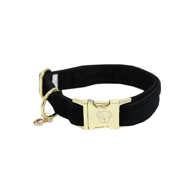 Collier pour chien Corduroy Kentucky Noir