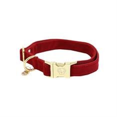 Collier pour chien Corduroy Kentucky Rouge