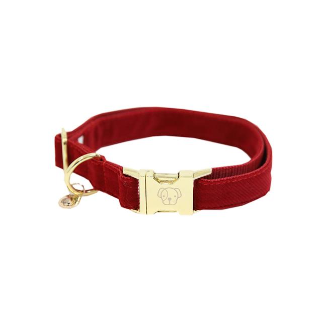 Collier pour chien Corduroy Kentucky Rouge