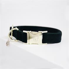 Collier pour chien Corduroy Kentucky Vert