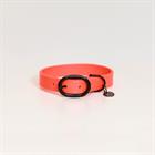Collier pour chien en caoutchouc souple Kentucky Orange