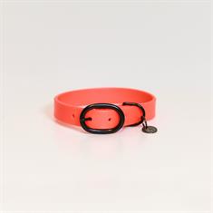 Collier pour chien en caoutchouc souple Kentucky Orange