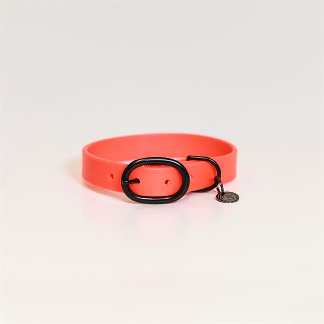 Collier pour chien en caoutchouc souple Kentucky Orange